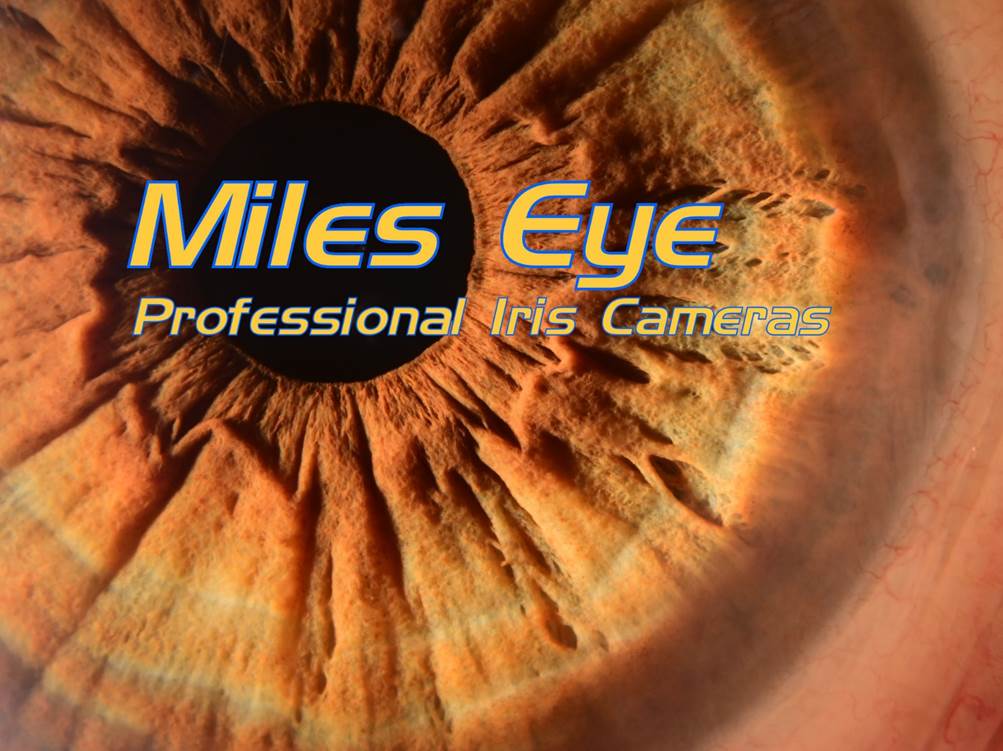 A close up of an eye
Description automatically generated