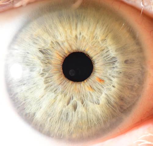 A close up of an eye
Description automatically generated with medium confidence