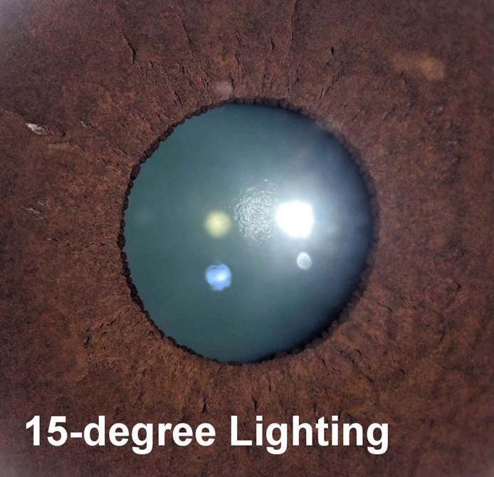 A close-up of a blue ball
Description automatically generated with low confidence