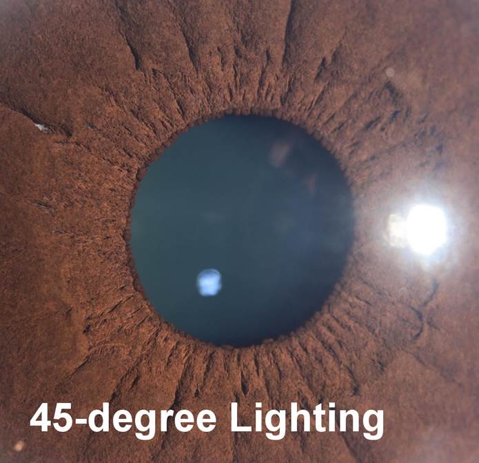 A close up of an eye with Meteor Crater in the background
Description automatically generated with medium confidence