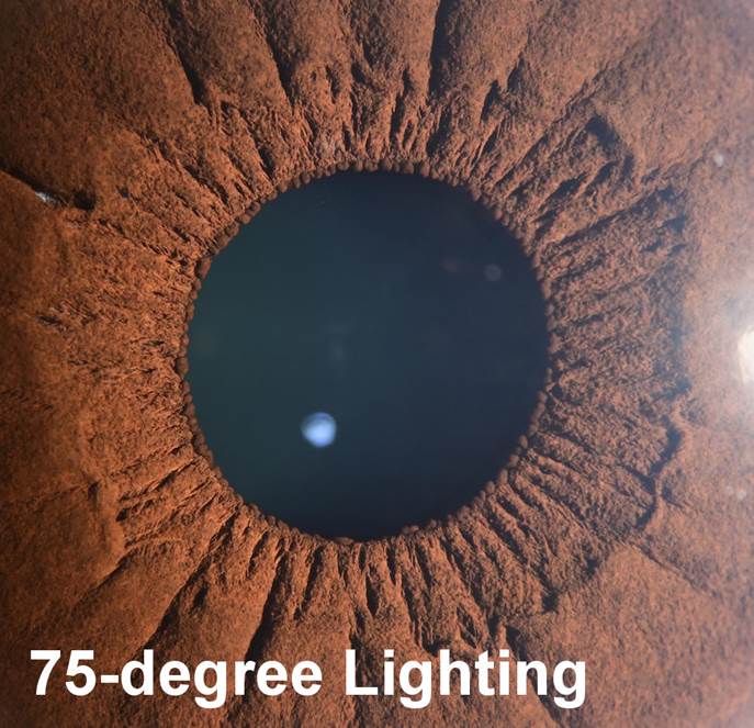 A close up of an eye with Meteor Crater in the background
Description automatically generated with low confidence