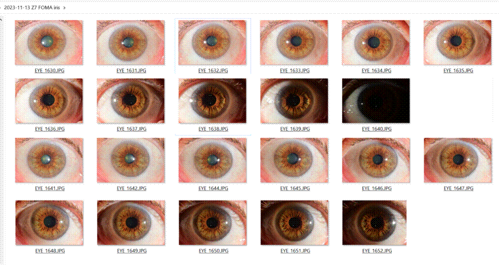 A collage of different colored eyes
Description automatically generated